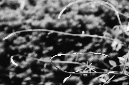 _DSC5308%20(1)