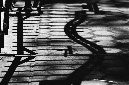 _DSC5322%20(1)
