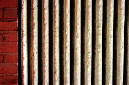 _DSC5334%20(1)