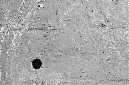 _DSC5341%20(1)
