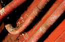 _DSC5343%20(1)