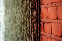 _DSC5346%20(1)