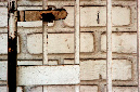_DSC5365%20(1)