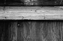 _DSC5377%20(1)