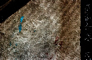 _DSC5417%20(1)
