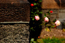 _DSC5439%20(1)