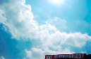 _DSC5451%20(1)