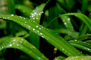 _DSC6010%20(1)
