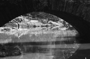 _DSC6039%20(1)