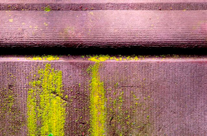 _DSC6046%20(1)