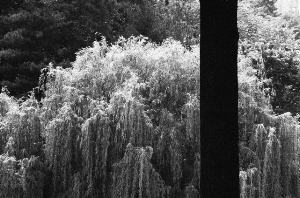_DSC6050%20(1)