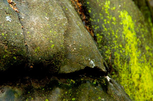 _DSC6055%20(1)