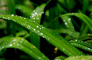 _DSC6010%20(1)
