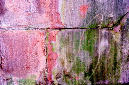 _DSC6043%20(1)
