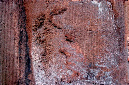 _DSC6044%20(1)
