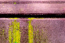 _DSC6046%20(1)