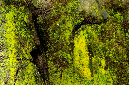 _DSC6052%20(1)