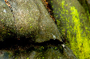 _DSC6055%20(1)