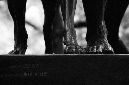 _DSC6078%20(1)