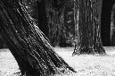 _DSC6079%20(1)