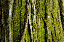 _DSC6083%20(1)