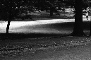 _DSC6104%20(1)