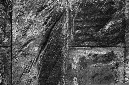 _DSC6121%20(1)