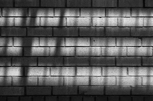 _DSC6139%20(1)