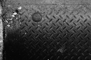 _DSC6233%20(1)