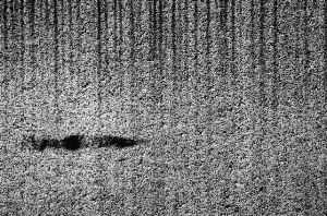 _DSC6284%20(1)
