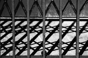 _DSC6301%20(1)