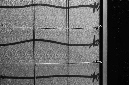 _DSC6140%20(1)