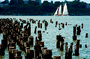 _DSC6165%20(1)