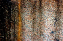 _DSC6179%20(1)