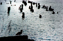 _DSC6182%20(1)