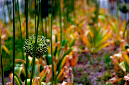 _DSC6193%20(1)