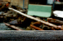 _DSC6204%20(1)