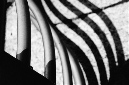 _DSC6209%20(1)