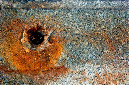 _DSC6215%20(1)
