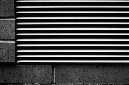 _DSC6225%20(1)