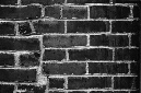 _DSC6230%20(1)