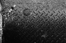 _DSC6233%20(1)