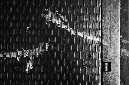 _DSC6237%20(1)