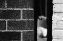 _DSC6249%20(1)