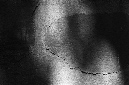 _DSC6264%20(1)