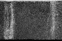 _DSC6267%20(1)