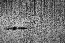_DSC6284%20(1)