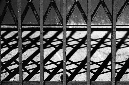 _DSC6301%20(1)