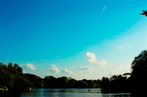 _DSC6307%20(1)