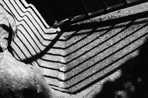 _DSC6431%20(1)